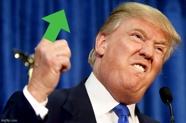 Donald Trump | image tagged in donald trump | made w/ Imgflip meme maker