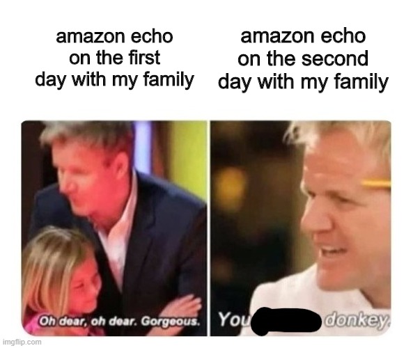 my brother asked alexa her opinion about siri and alexa got pissed lol |  amazon echo on the second day with my family; amazon echo on the first day with my family | image tagged in fun,amazon echo,alexa,siri,opinion | made w/ Imgflip meme maker
