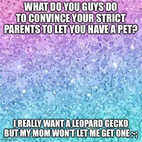 ??? | WHAT DO YOU GUYS DO TO CONVINCE YOUR STRICT PARENTS TO LET YOU HAVE A PET? I REALLY WANT A LEOPARD GECKO BUT MY MOM WON’T LET ME GET ONE ;-; | image tagged in sparkle background,pets | made w/ Imgflip meme maker