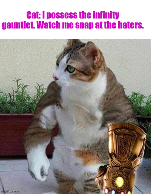 Cat with the infinity gauntlet | Cat: I possess the infinity gauntlet. Watch me snap at the haters. | image tagged in infinity gauntlet,cats,cat,memes,meme,dank memes | made w/ Imgflip meme maker
