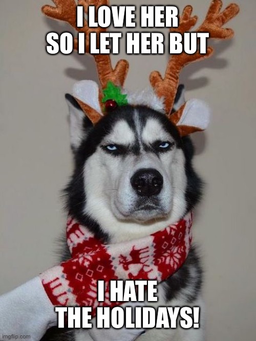 Husky Happy Holidays | I LOVE HER SO I LET HER BUT; I HATE THE HOLIDAYS! | image tagged in husky happy holidays | made w/ Imgflip meme maker