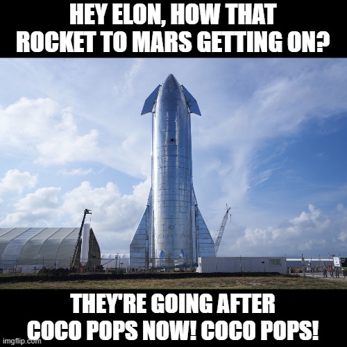 HEY ELON, HOW THAT ROCKET TO MARS GETTING ON? THEY'RE GOING AFTER COCO POPS NOW! COCO POPS! | image tagged in spacex,elon musk,racism,riots,blm,black lives matter | made w/ Imgflip meme maker