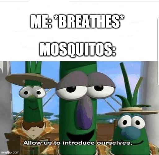 Allow us to introduce ourselves |  ME: *BREATHES*; MOSQUITOS: | image tagged in allow us to introduce ourselves,mosquito,outdoors,summer,bugs,fml | made w/ Imgflip meme maker