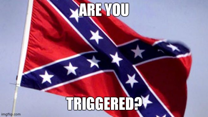 Confederate Flag | ARE YOU TRIGGERED? | image tagged in confederate flag | made w/ Imgflip meme maker