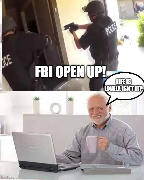 I said this in a comment and submitted it | FBI OPEN UP! LIFE IS LOVELY, ISN'T IT? | image tagged in memes,hide the pain harold | made w/ Imgflip meme maker