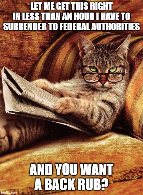Let Me Get This Right | LET ME GET THIS RIGHT
IN LESS THAN AN HOUR I HAVE TO SURRENDER TO FEDERAL AUTHORITIES; AND YOU WANT A BACK RUB? | image tagged in cat reading,memes,funny memes,funny,cats | made w/ Imgflip meme maker