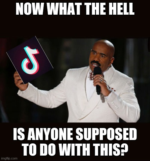 steve's face says it all | NOW WHAT THE HELL; IS ANYONE SUPPOSED TO DO WITH THIS? | image tagged in wrong answer steve harvey,tik tok,tik tok sucks,antitiktoks,steve harvey | made w/ Imgflip meme maker
