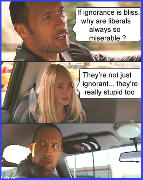 if ignorance is bliss.... | image tagged in ignorance,ignorance is bliss,the rock driving,lol,funny memes,true dat | made w/ Imgflip meme maker