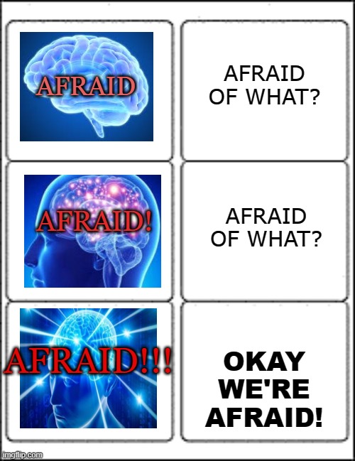 Anxiety in a nutshell | AFRAID; AFRAID OF WHAT? AFRAID OF WHAT? AFRAID! AFRAID!!! OKAY WE'RE AFRAID! | image tagged in anxiety,afraid,expanding brain,brain | made w/ Imgflip meme maker
