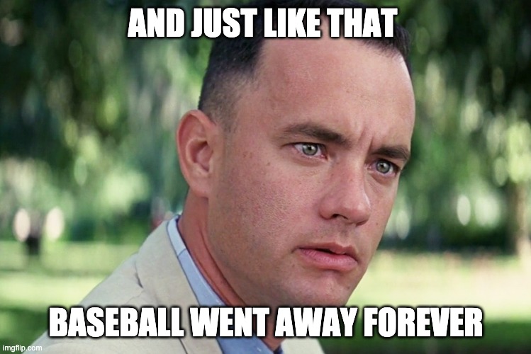 Bye Bye Baseball | AND JUST LIKE THAT; BASEBALL WENT AWAY FOREVER | image tagged in memes,and just like that | made w/ Imgflip meme maker