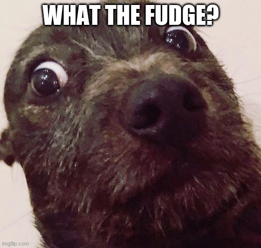 What the fudge dogg | WHAT THE FUDGE? | image tagged in what the fudge dogg | made w/ Imgflip meme maker