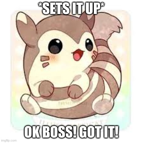 baby furret! | *SETS IT UP* OK BOSS! GOT IT! | image tagged in baby furret | made w/ Imgflip meme maker