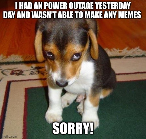 Sorry | I HAD AN POWER OUTAGE YESTERDAY DAY AND WASN’T ABLE TO MAKE ANY MEMES; SORRY! | image tagged in sorry | made w/ Imgflip meme maker