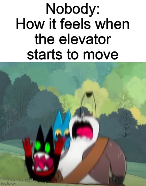Mao Mao meme | Nobody:
How it feels when the elevator starts to move | image tagged in falling mao mao badgerclops and adorabat,cartoon,cartoon network,memes,mao mao heros of pure heart,funny memes | made w/ Imgflip meme maker