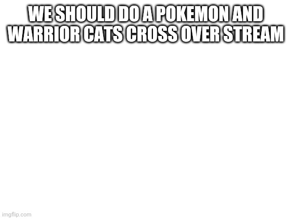 Blank White Template | WE SHOULD DO A POKEMON AND WARRIOR CATS CROSS OVER STREAM | image tagged in blank white template | made w/ Imgflip meme maker
