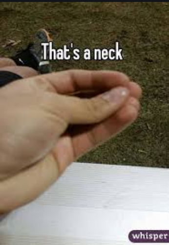 that's a neck Blank Meme Template