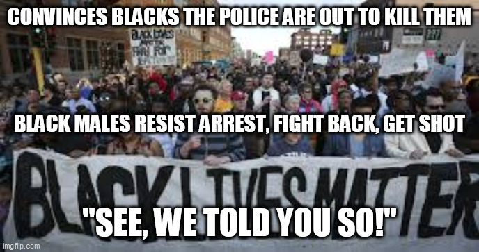 Black Lives Lost Matter | CONVINCES BLACKS THE POLICE ARE OUT TO KILL THEM; BLACK MALES RESIST ARREST, FIGHT BACK, GET SHOT; "SEE, WE TOLD YOU SO!" | image tagged in black lives matter | made w/ Imgflip meme maker