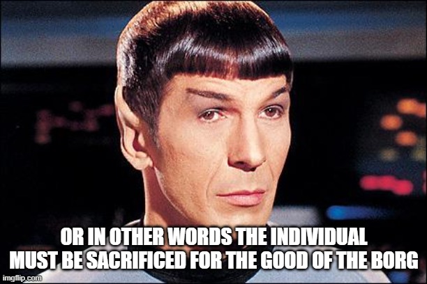 Condescending Spock | OR IN OTHER WORDS THE INDIVIDUAL MUST BE SACRIFICED FOR THE GOOD OF THE BORG | image tagged in condescending spock | made w/ Imgflip meme maker