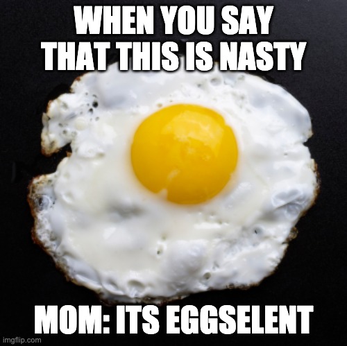 eggs | WHEN YOU SAY THAT THIS IS NASTY; MOM: ITS EGGSELENT | image tagged in eggs | made w/ Imgflip meme maker
