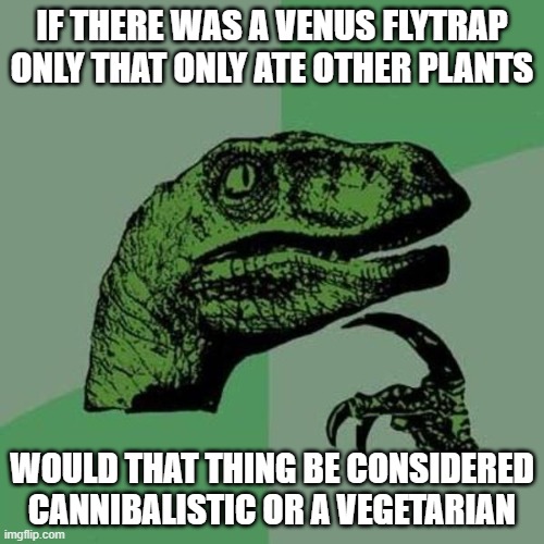 raptor | IF THERE WAS A VENUS FLYTRAP ONLY THAT ONLY ATE OTHER PLANTS; WOULD THAT THING BE CONSIDERED CANNIBALISTIC OR A VEGETARIAN | image tagged in raptor | made w/ Imgflip meme maker