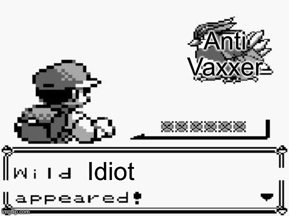 pokemon appears | Anti
Vaxxer; Idiot | image tagged in pokemon appears | made w/ Imgflip meme maker