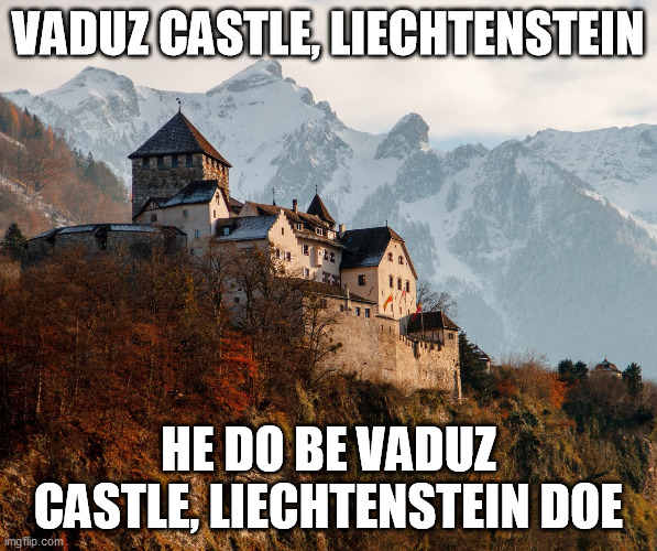VADUZ CASTLE, LIECHTENSTEIN; HE DO BE VADUZ CASTLE, LIECHTENSTEIN DOE | image tagged in vaduz castle liechtenstein | made w/ Imgflip meme maker