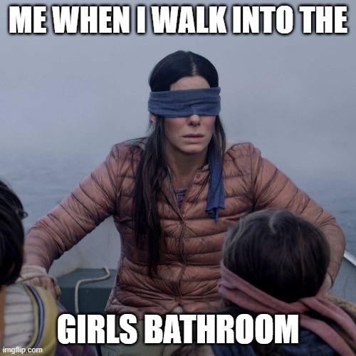 Bird Box Meme | ME WHEN I WALK INTO THE; GIRLS BATHROOM | image tagged in memes,bird box | made w/ Imgflip meme maker