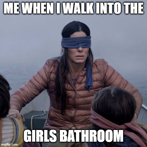 Bird Box | ME WHEN I WALK INTO THE; GIRLS BATHROOM | image tagged in memes,bird box | made w/ Imgflip meme maker