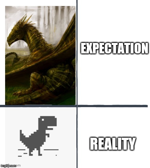 Comparison | EXPECTATION; REALITY | image tagged in comparison | made w/ Imgflip meme maker