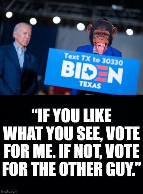 Why vote for a Monkey when you could have the other Peanut. A PRO JOE BIDEN MEME. | “IF YOU LIKE WHAT YOU SEE, VOTE FOR ME. IF NOT, VOTE FOR THE OTHER GUY.” | image tagged in black background,joe biden,if you like what you see,peanuts and monkeys,biden 2020 | made w/ Imgflip meme maker