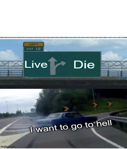 Live or die | image tagged in nascar | made w/ Imgflip meme maker
