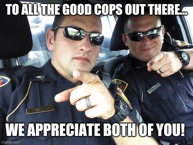 Cops |  TO ALL THE GOOD COPS OUT THERE... WE APPRECIATE BOTH OF YOU! | image tagged in cops | made w/ Imgflip meme maker
