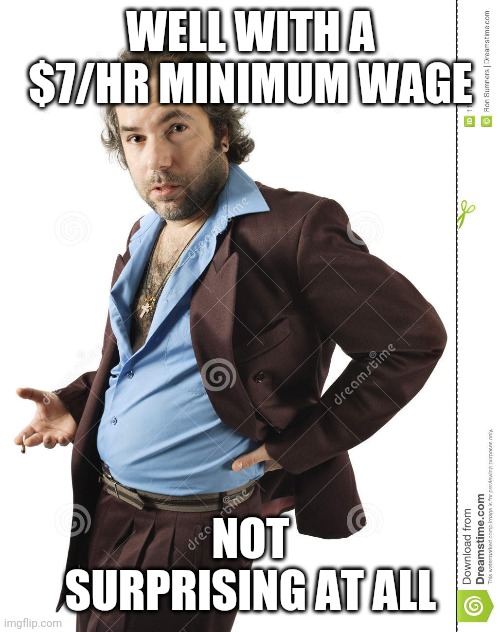 WELL WITH A $7/HR MINIMUM WAGE NOT SURPRISING AT ALL | made w/ Imgflip meme maker