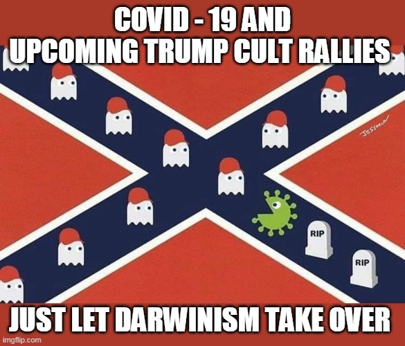 Trumpism and Darwinism | COVID - 19 AND UPCOMING TRUMP CULT RALLIES; JUST LET DARWINISM TAKE OVER | image tagged in donald trump,trump supporters,republicans | made w/ Imgflip meme maker