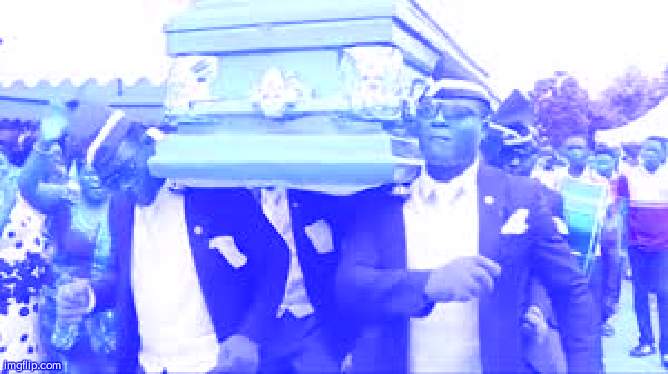 Coffin dance | image tagged in coffin dance | made w/ Imgflip meme maker