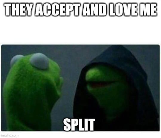 THEY ACCEPT AND LOVE ME; SPLIT | image tagged in BPDmemes | made w/ Imgflip meme maker