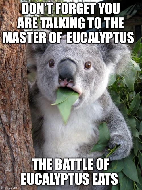 Master of Eucalyptus | DON’T FORGET YOU ARE TALKING TO THE MASTER OF  EUCALYPTUS; THE BATTLE OF EUCALYPTUS EATS | image tagged in memes,surprised koala | made w/ Imgflip meme maker