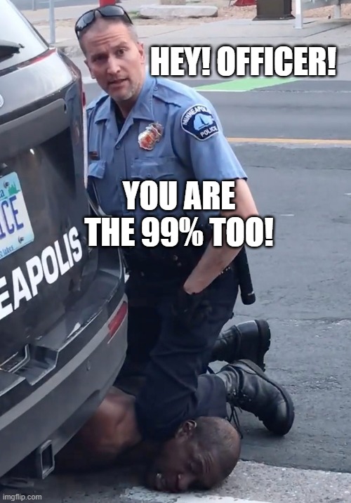 Hey! Officer! You are the 99% too! | HEY! OFFICER! YOU ARE THE 99% TOO! | image tagged in derek chauvinist pig | made w/ Imgflip meme maker