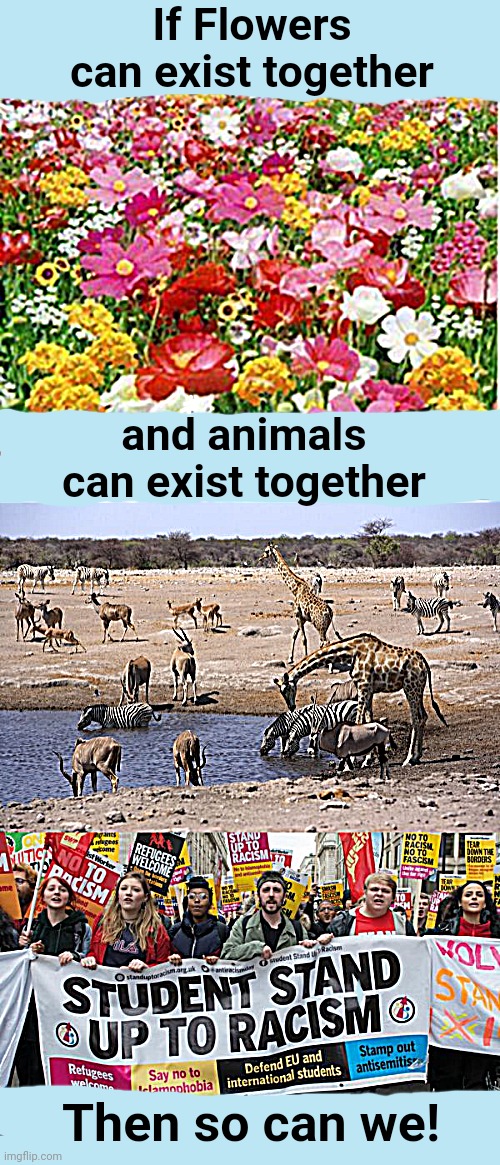 TRUE BEAUTY knows no color! | If Flowers can exist together; and animals can exist together; Then so can we! | image tagged in unity,love | made w/ Imgflip meme maker