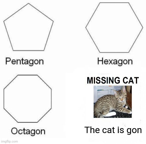 The cat is gon | The cat is gon | image tagged in memes,pentagon hexagon octagon,cats,cat,meme,missing | made w/ Imgflip meme maker