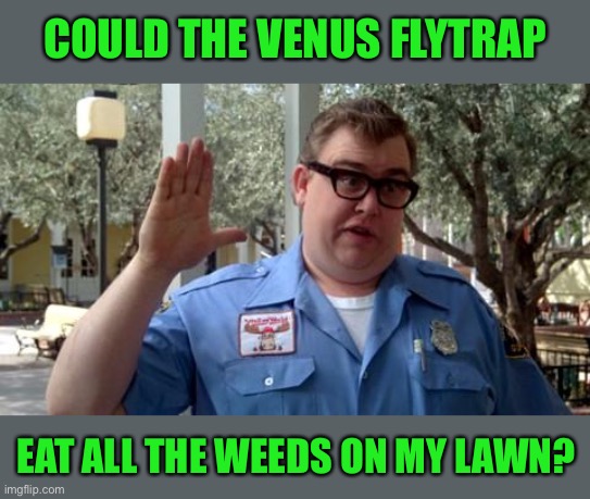 Sorry Folks | COULD THE VENUS FLYTRAP EAT ALL THE WEEDS ON MY LAWN? | image tagged in sorry folks | made w/ Imgflip meme maker