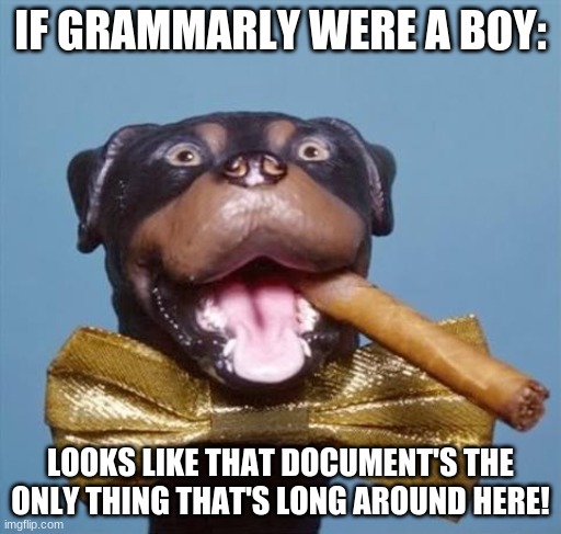 Triumph the Insult Comic Dog | IF GRAMMARLY WERE A BOY: LOOKS LIKE THAT DOCUMENT'S THE ONLY THING THAT'S LONG AROUND HERE! | image tagged in triumph the insult comic dog | made w/ Imgflip meme maker