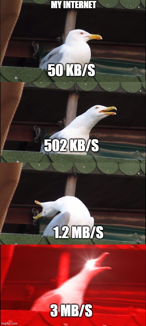 What my internet looks like... | MY INTERNET; 50 KB/S; 502 KB/S; 1.2 MB/S; 3 MB/S | image tagged in memes,inhaling seagull | made w/ Imgflip meme maker