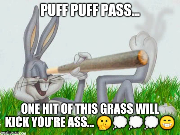 420 | PUFF PUFF PASS... ONE HIT OF THIS GRASS WILL KICK YOU'RE ASS... 🤫💭💭💭😁 | image tagged in 420 | made w/ Imgflip meme maker