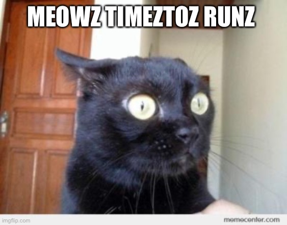 Scared Cat | MEOWZ TIMEZTOZ RUNZ | image tagged in scared cat | made w/ Imgflip meme maker