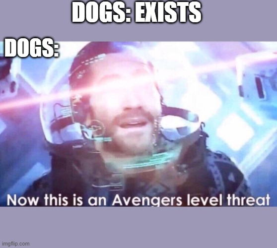 Now this is an avengers level threat | DOGS: EXISTS; DOGS: | image tagged in now this is an avengers level threat | made w/ Imgflip meme maker