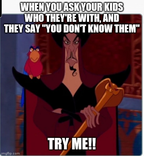 Try me! | WHEN YOU ASK YOUR KIDS WHO THEY'RE WITH, AND THEY SAY "YOU DON'T KNOW THEM"; TRY ME!! | image tagged in memes | made w/ Imgflip meme maker