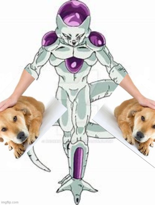 go my puppers | image tagged in dog,dbz | made w/ Imgflip meme maker