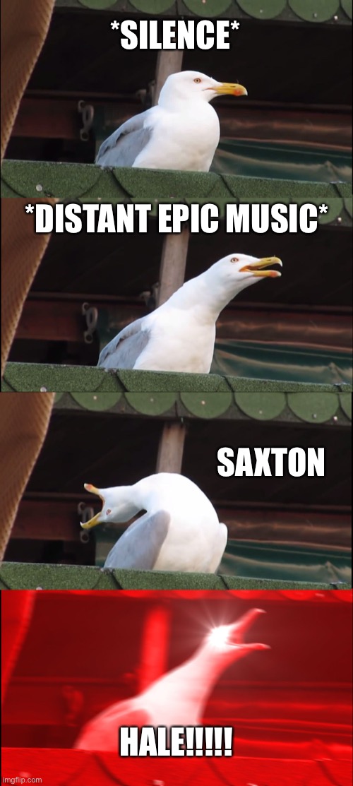 TF2 | *SILENCE*; *DISTANT EPIC MUSIC*; SAXTON; HALE!!!!! | image tagged in memes,inhaling seagull,tf2 | made w/ Imgflip meme maker