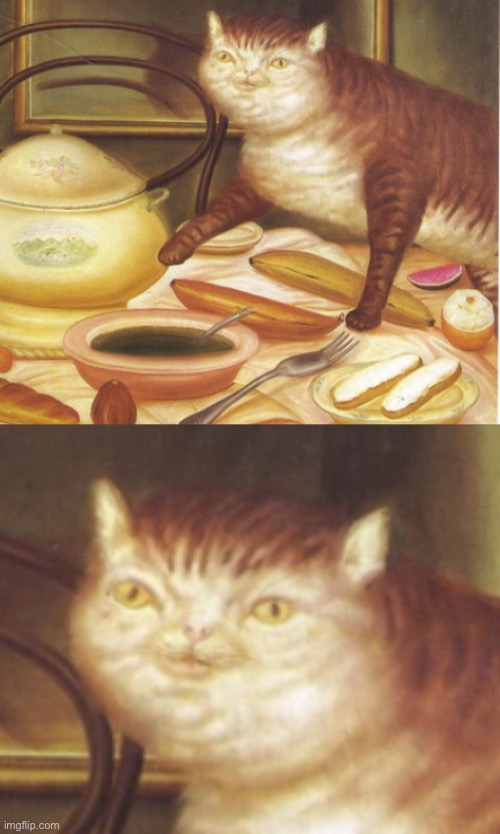 Ugly cat | image tagged in cats,custom template,funny memes,fat cat | made w/ Imgflip meme maker